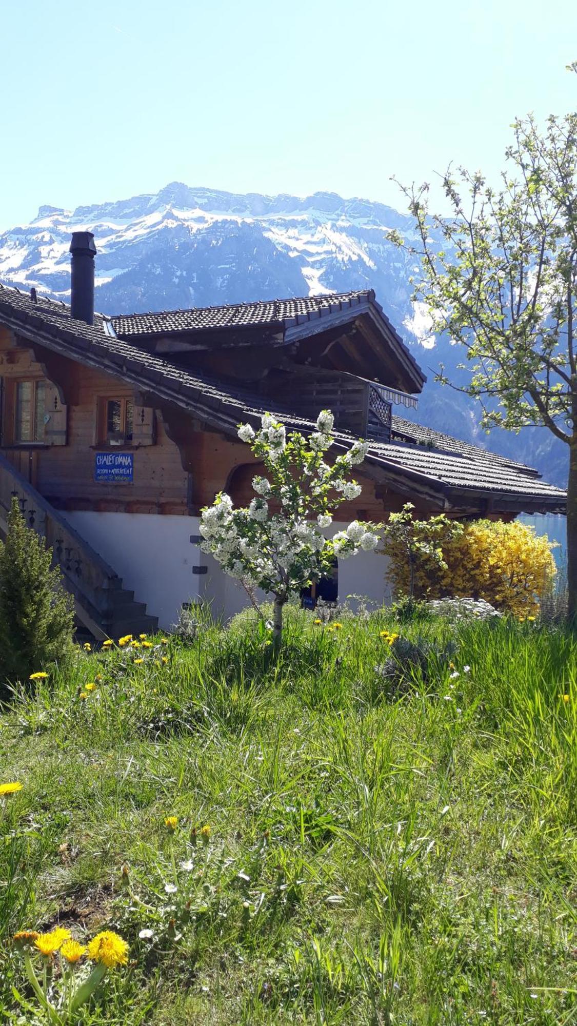 Chalet Diana Lakefront Ringgenberg Bagian luar foto