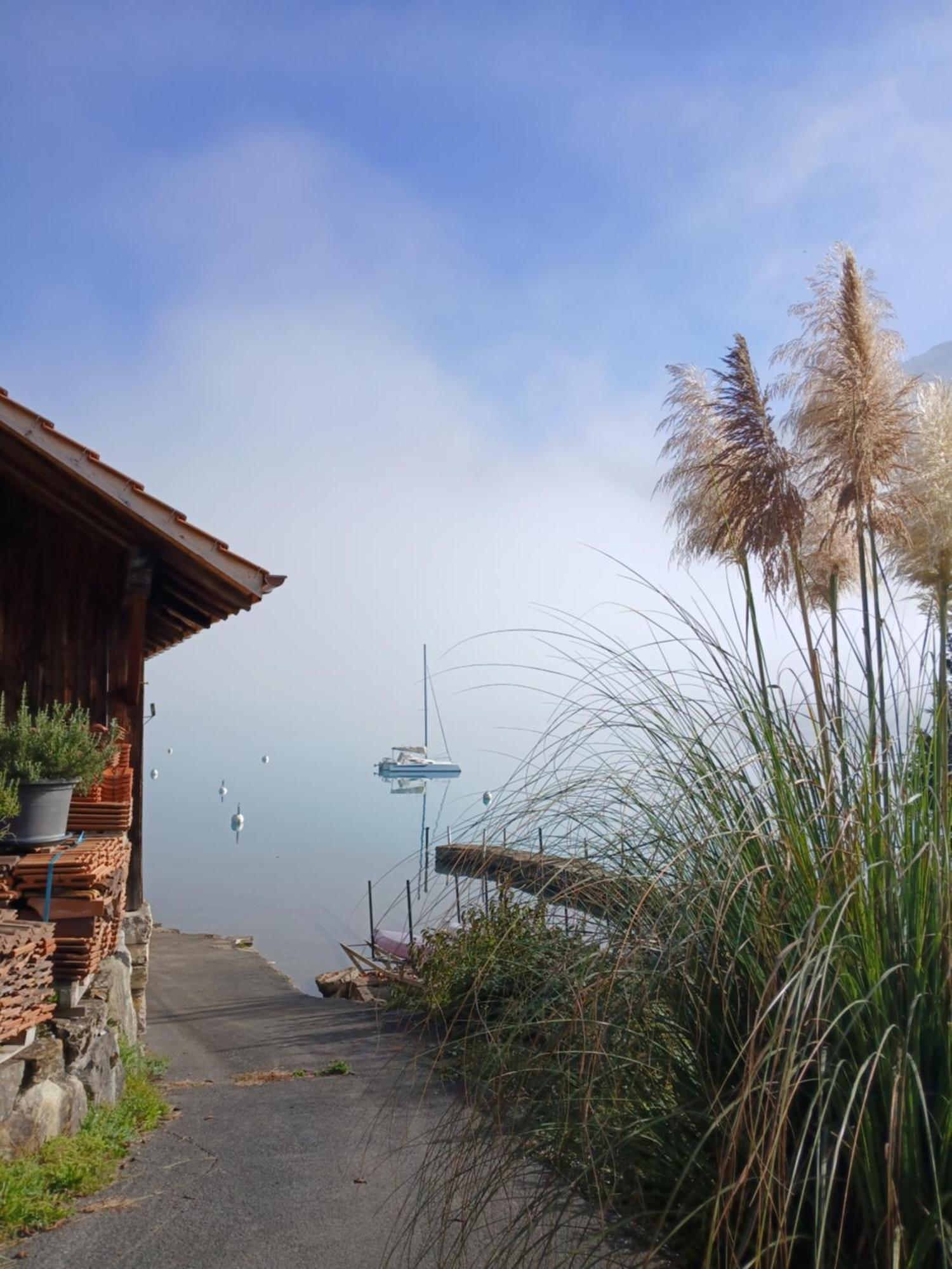 Chalet Diana Lakefront Ringgenberg Bagian luar foto